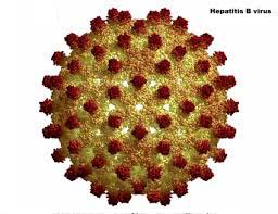 1.300.000 Béninois sont infectés d’hépatites et 340.000 sont actuellement dans le couloir de la mort.